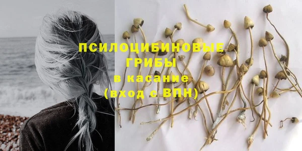 винт Балахна